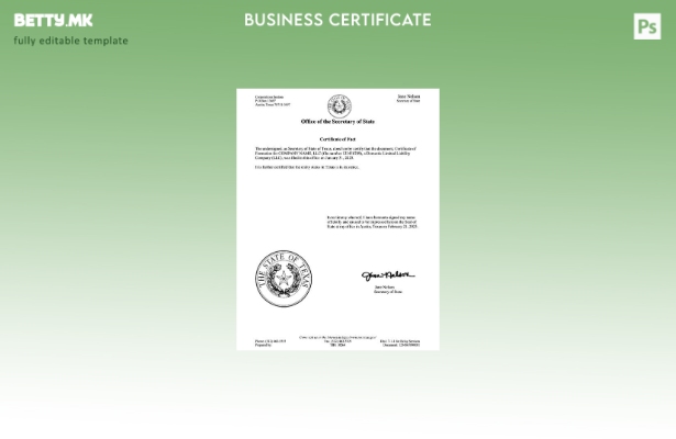 модерен стил САД Тексас сертификат за факти Шаблон за Word и PDF